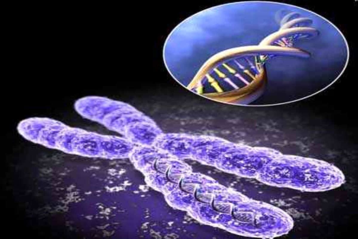 سلول های بنیادی