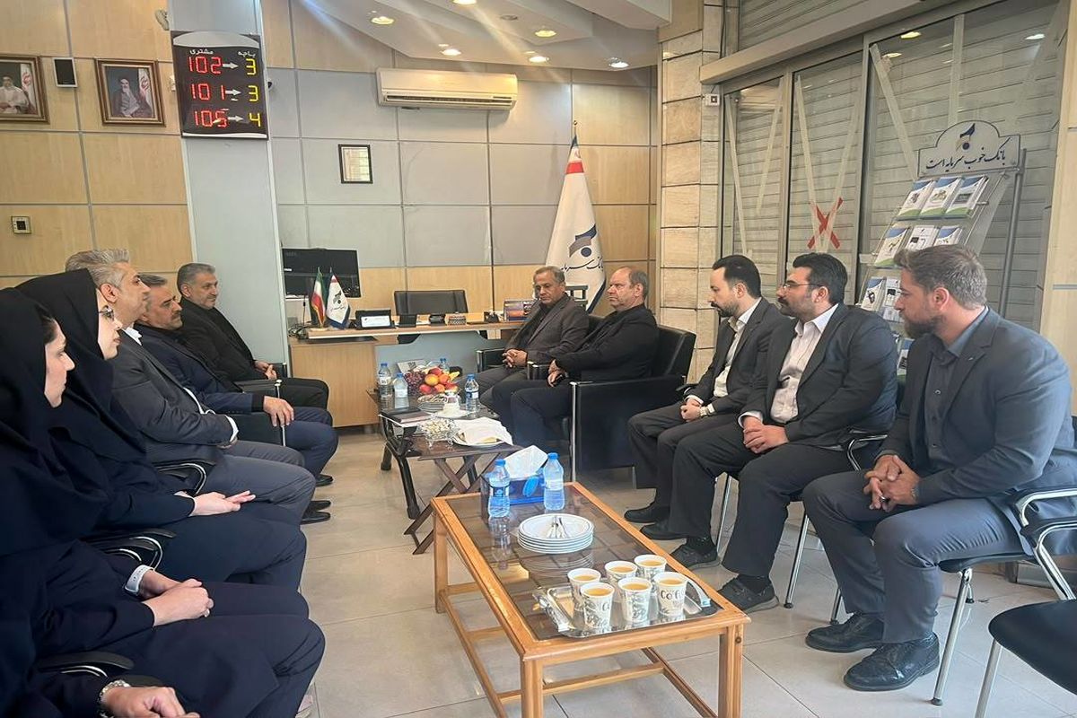 بانک سرمایه