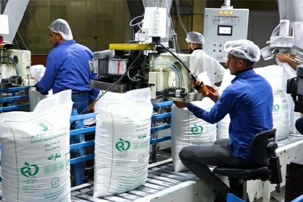  شکر جهانی گران می‌شود