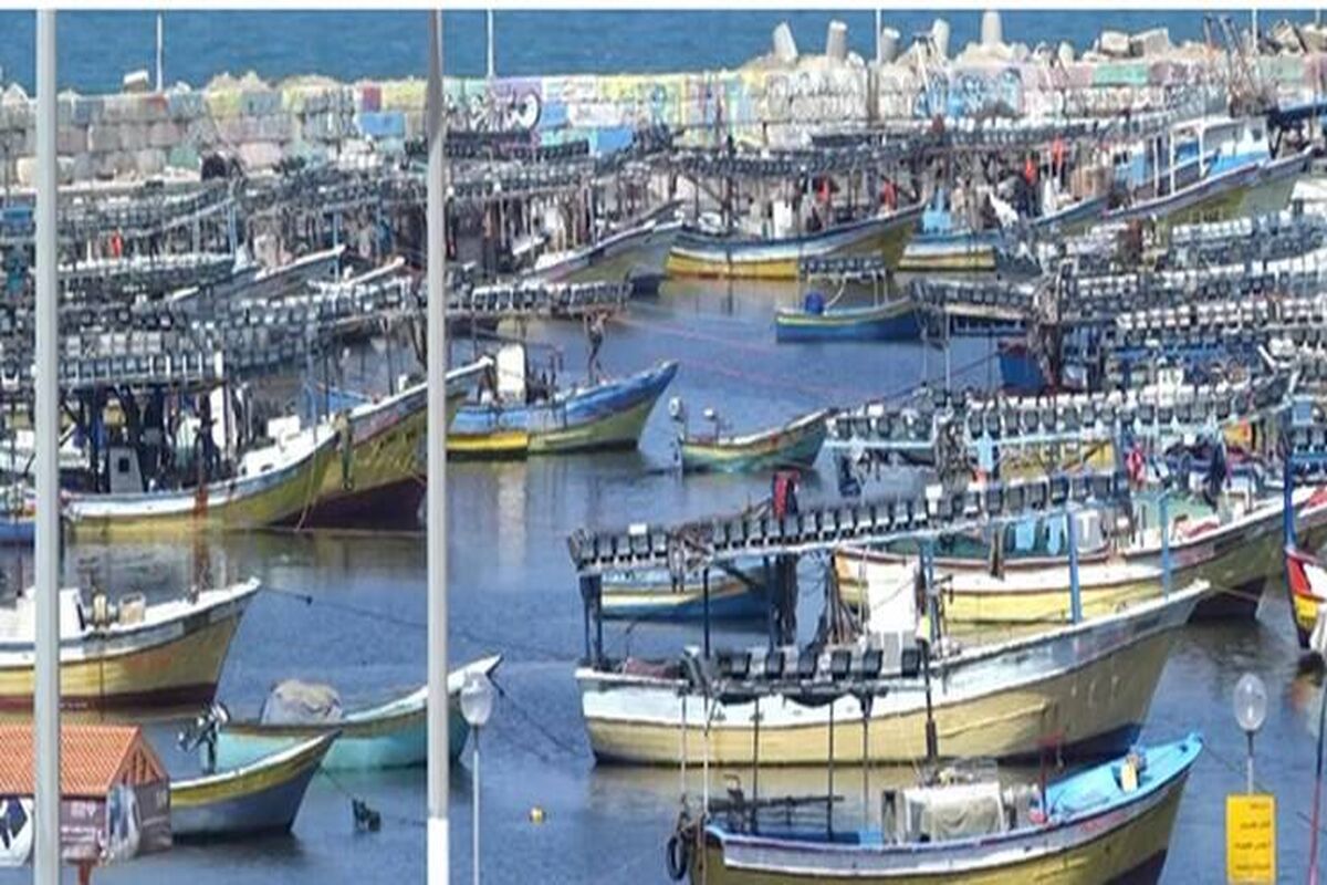 غزه
