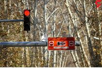 شیر یا خط دولت و شهرداری بر سر طرح ترافیک