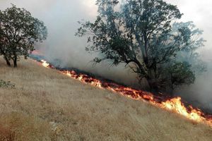 کرمانشاه آرام می‌سوزد