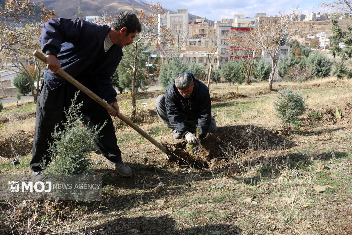 سرانه فضای سبز