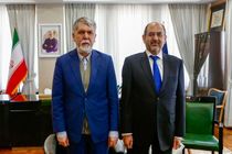 اکو فرهنگی باید با اقتصاد فرهنگ پیوند بخورد