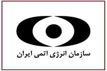 توقف موقتی در فعالیت نیروگاه اتمی بوشهر