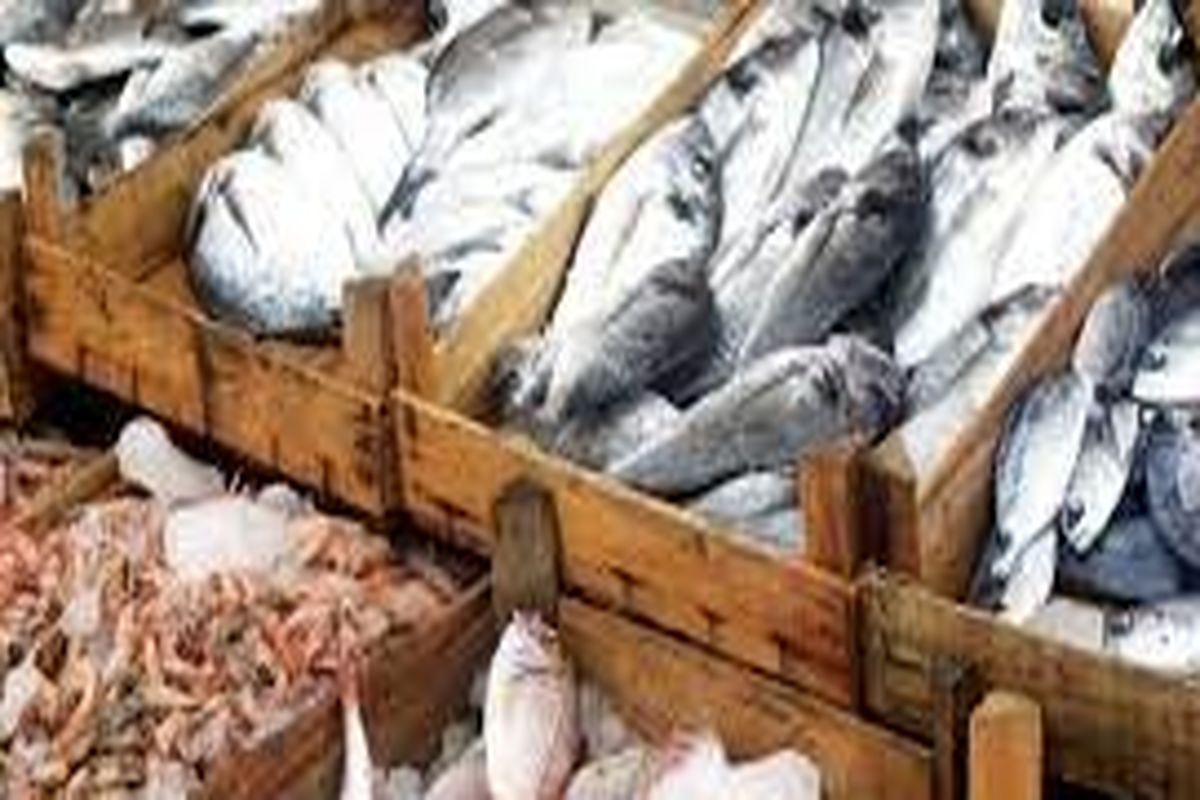 بیمه آبزیان