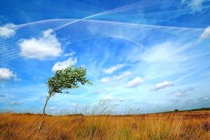 وقوع مه، غبار صبحگاهی و کاهش دما در خوزستان انتظار می رود 