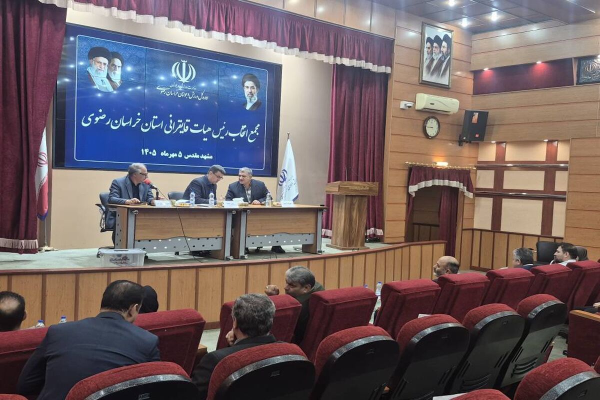 قایقرانی 