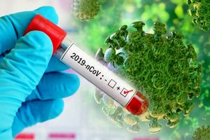 شناسایی 8 ابتلای جدید به ویروس کرونا در اردستان