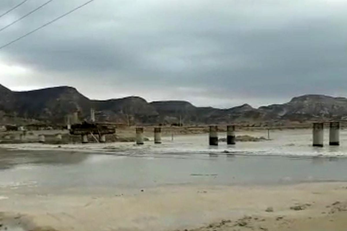 سیل آسا