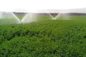 ۲۶۰ هزار هکتار از اراضی اصفهان تحت آبیاری تحت فشار است