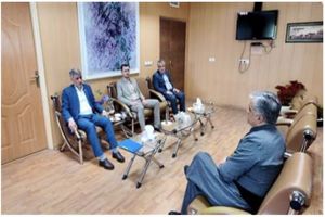 در نظام GNAF، پلاک و نامگذاری معابر از اهمیت ویژه‌ای برخوردار است