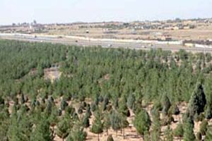 احداث۶ هزار هکتار کمربند فضای سبز در قم