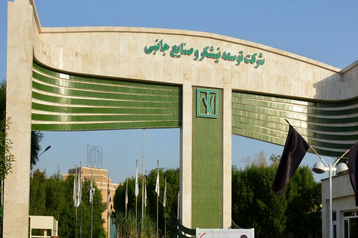 شرکت توسعه نیشکر