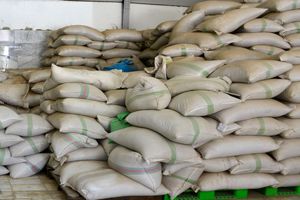 انبار احتکار ۳۰ میلیاردی حبوبات در شیراز لو رفت