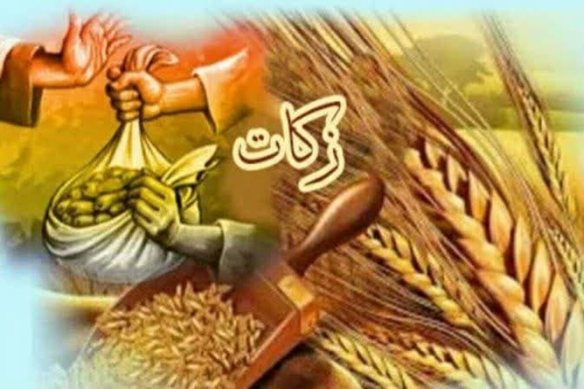 عکس خبرزکات