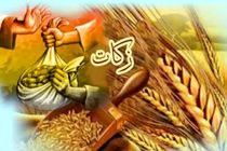 زکات مردم اراک به بیش از ۱۱ میلیارد تومان رسید