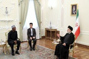 ایران آماده توسعه همکاری با نیجر است