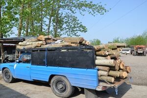 کشف چوب قاچاق در آستانه‌اشرفیه