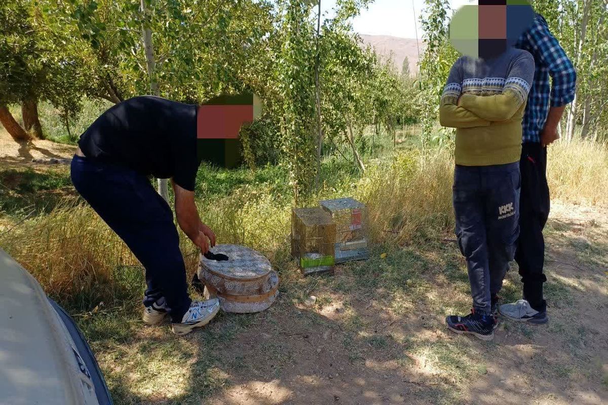 دستگیری