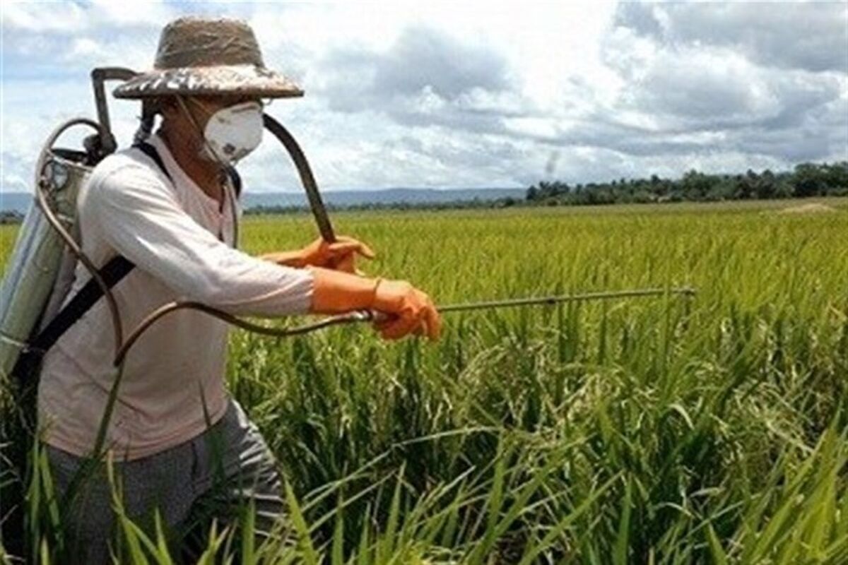 مبارزه بیولوژیکی در سطح مزارع کرمانشاه