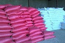 ۵۰ تن کود تقلبی در کلاله کشف شد