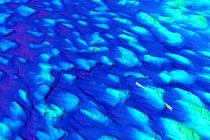 کشف دنیای مخفی بستر اقیانوس‌های قطبی