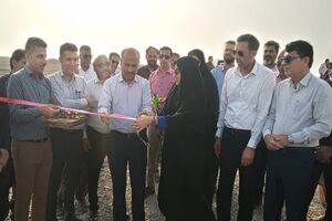 افتتاح مزرعه ۲۰ هکتاری پرورش میگو در جاسک؛ گامی مؤثر در توسعه اقتصادی و ایجاد اشتغال