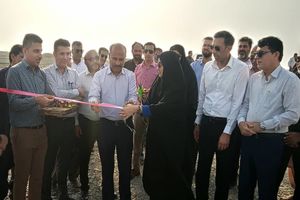 افتتاح مزرعه ۲۰ هکتاری پرورش میگو در جاسک؛ گامی مؤثر در توسعه اقتصادی و ایجاد اشتغال