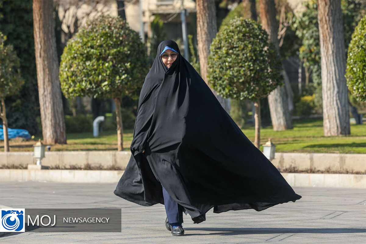 معاون رئیس جمهور