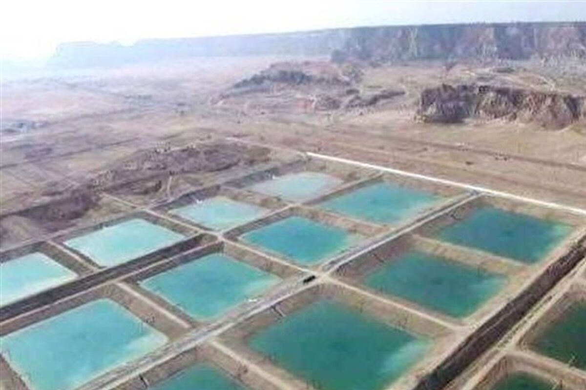 شیلات هرمزگان
