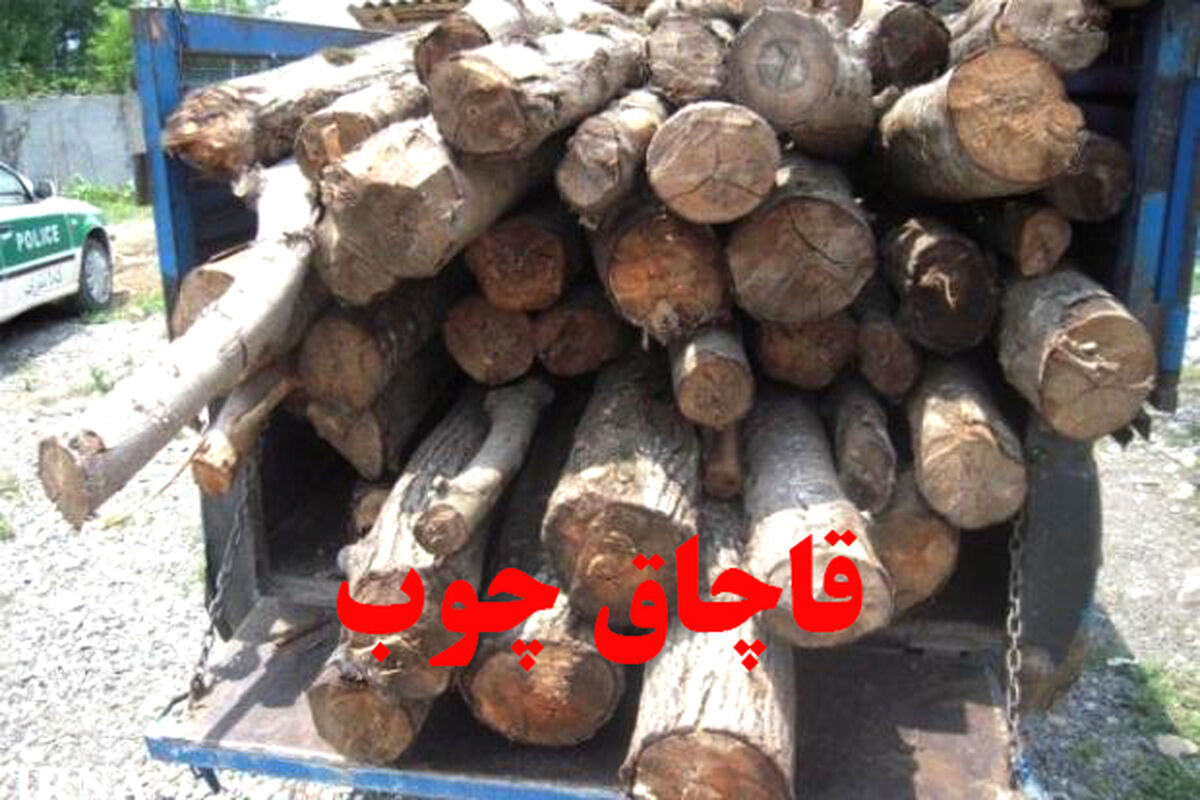 کشف انبار تاغ غیر مجاز