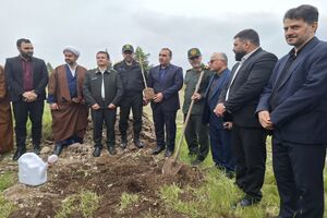آئین کاشت سه هزار نهال امید در شرکت نکاچوب برگزار شد