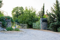 ارائه مدل مدیریت پایدار جنگل‌های شمال کشور در تعامل دولت و دانشگاه