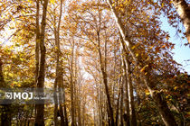 پاییز به خراسان رضوی رسید