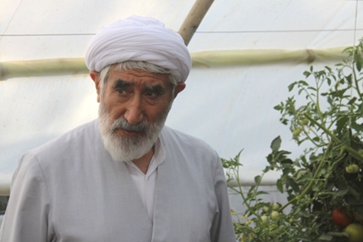 احمدی