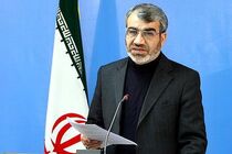  شورای نگهبان در انتخابات ریاست‌جمهوری اعلام رد صلاحیت نمی ‌کند