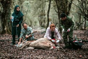 زمان پخش سریال خانواده دکتر ماهان اعلام شد