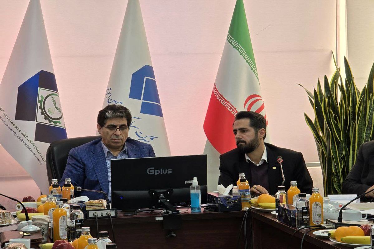 محمد رضا سعیدی، مدیرعامل شرکت سرمایه‌گذاری تامین اجتماعی تادیکو