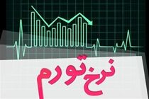افزایش ۱.۳ درصدی نرخ تورم سالانه دی ۱۴۰۱ در مقایسه با ماه قبل