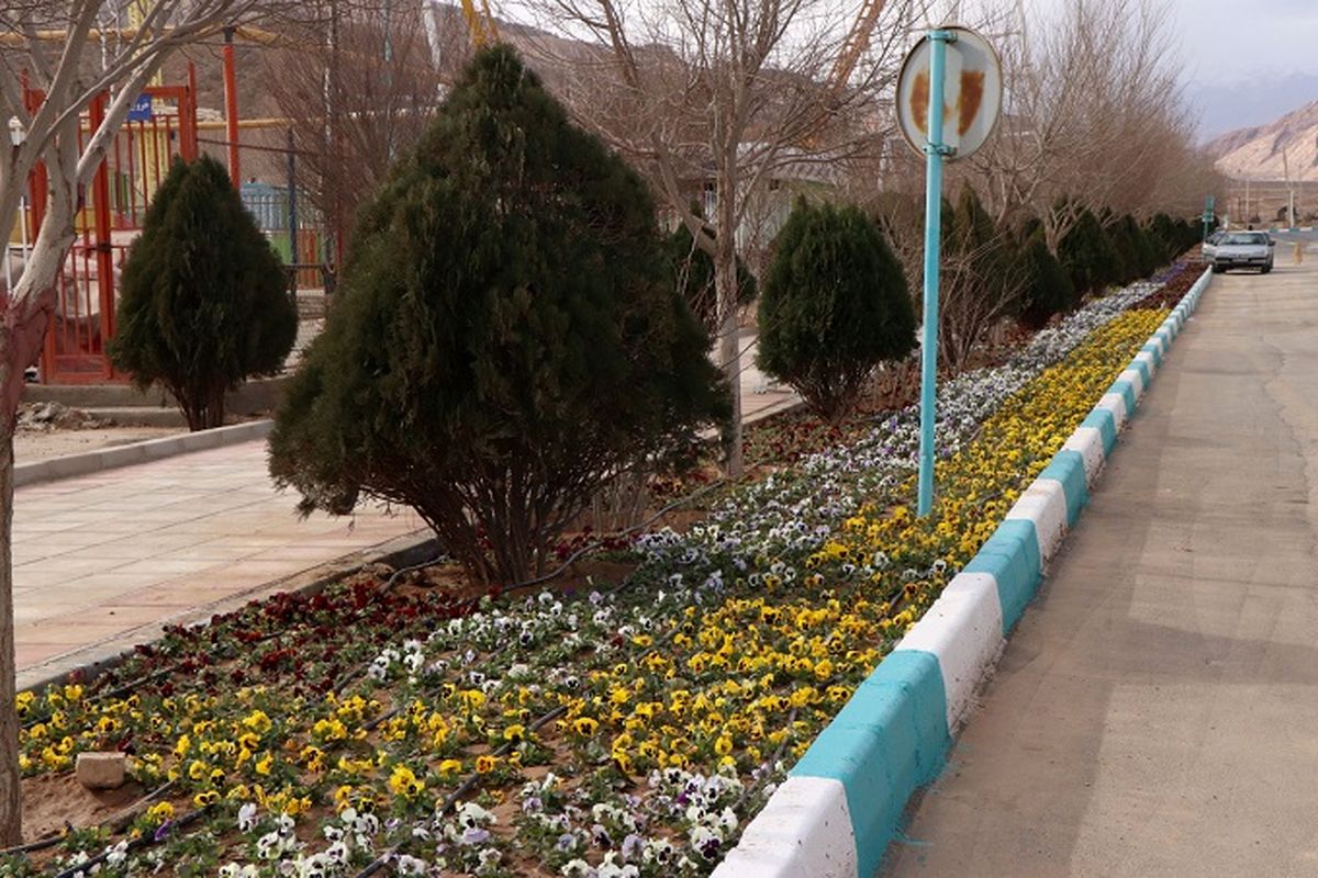 پارک کوهستان یزد