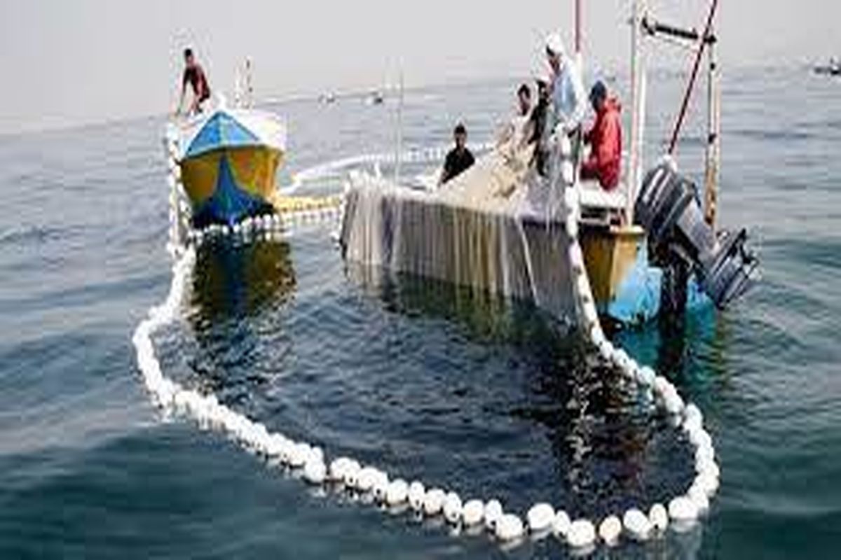 صدور مجوز صیادی 