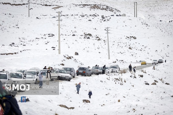 چالوس و آزادراه تهران–شمال برفی و بارانی شد