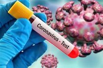 ابتلاء 13 بیمار جدید به ویروس کرونا در کاشان / 24 نفر در آی سیو