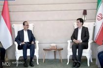 سفر رئیسی به اندونزی نقطه عطف گسترش همکاری‌های اقتصادی بود