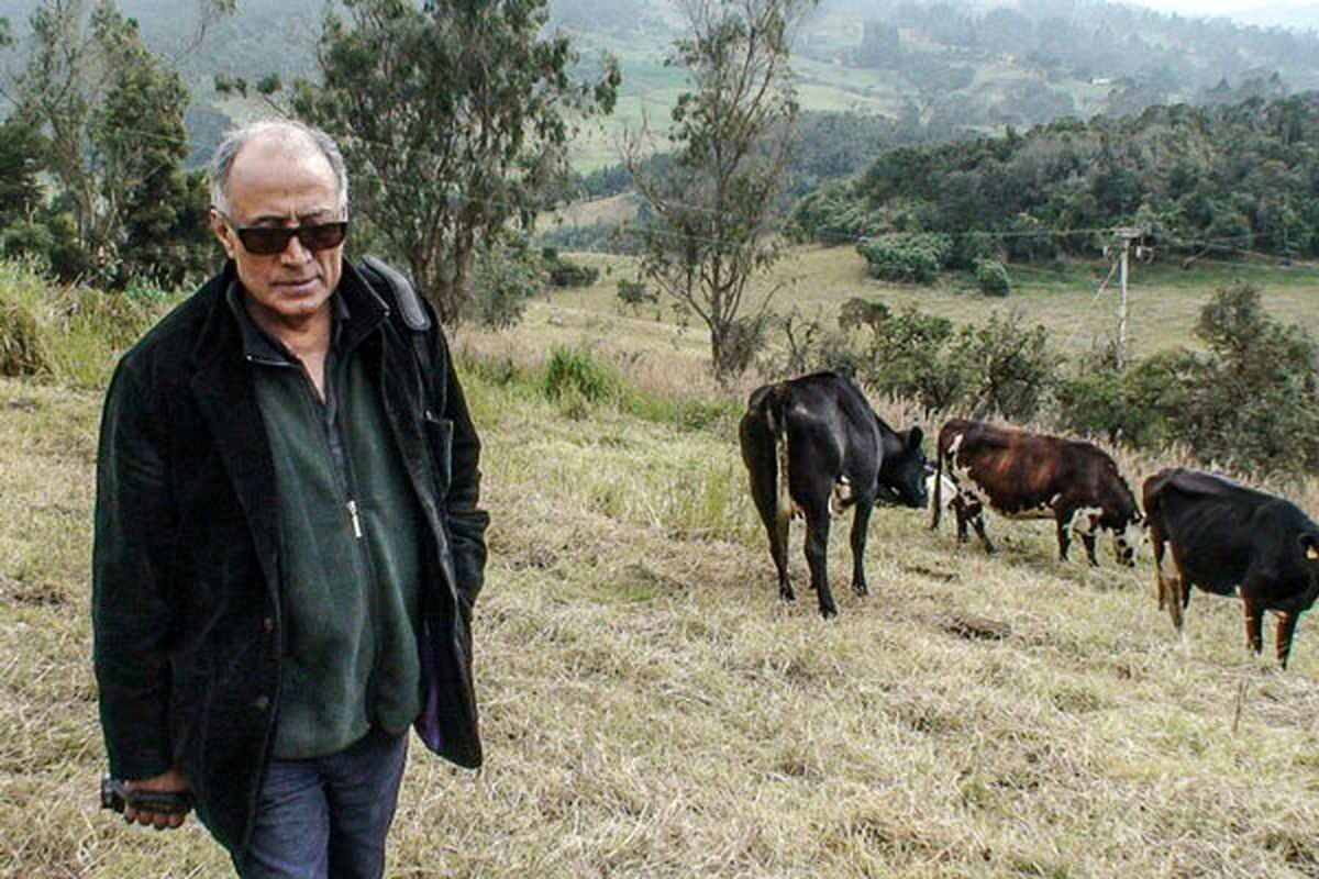 فیلم کیارستمی و عصای گمشده