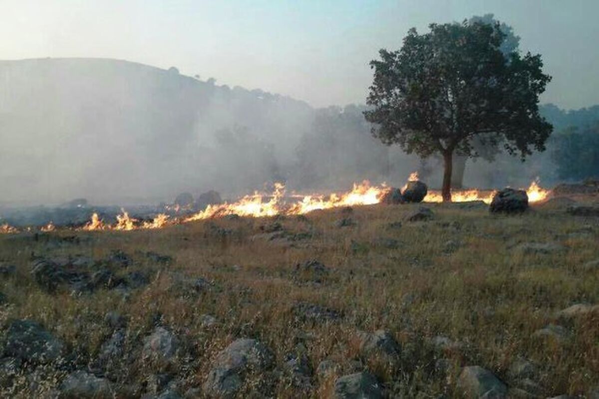 منابع طبیعی گلستان