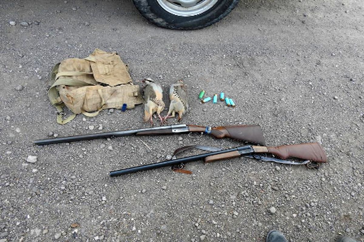 اسلحه شکاری