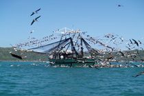 صدور مجوز برای اعزام شناور امدادی به عراق درپی غرق شدن کشتی ایرانی