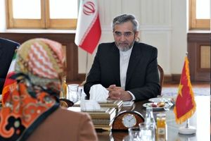 ایران و ویتنام ظرفیت‌های خوبی جهت ارتقاء سطح همکاری‌ها دارند